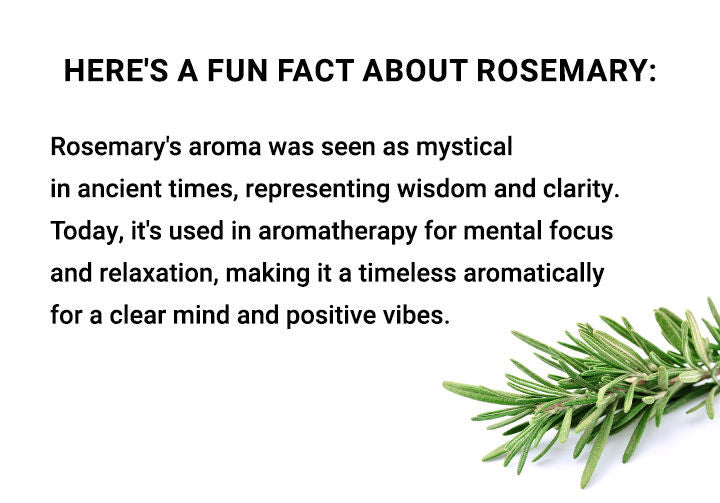 🤩ROSEMARY SPRAY FOR  HAIR REGROWTH [BUY 1 GET 1 FREE]🤩