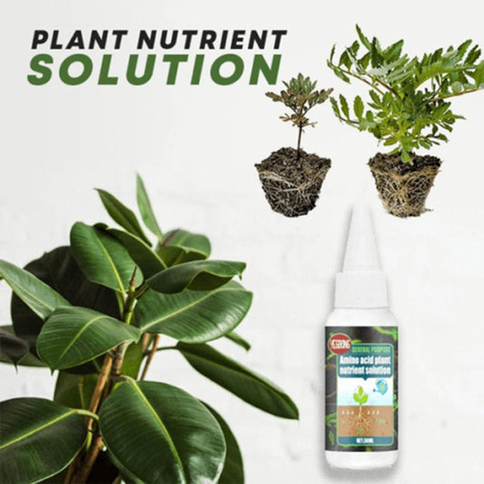 🤩Magic Plant Nutrient Solution, Hydroponic Liquid Plant Fertilizer for Seedling Recovery and Root Growth (30ml)🤩