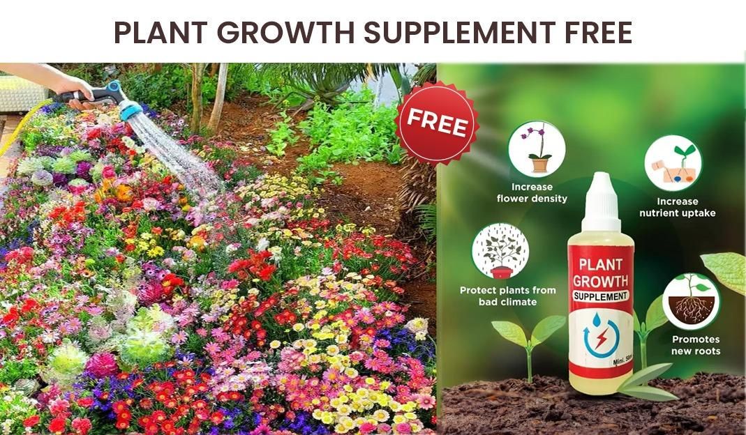 🤩Flower Seeds (Pack of 100) -🔥 Get Plant Growth Supplement Free🤩