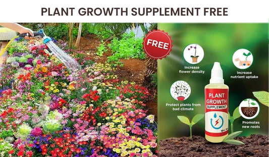 🤩Flower Seeds (Pack of 100) -🔥 Get Plant Growth Supplement Free🤩