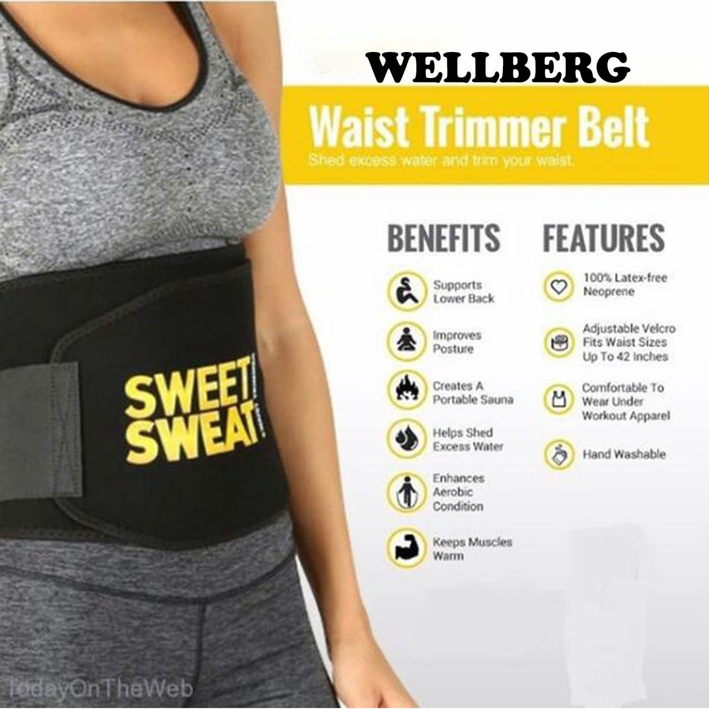 🤩Adjustable Waist Trimmer Belt for Men and Women🤩