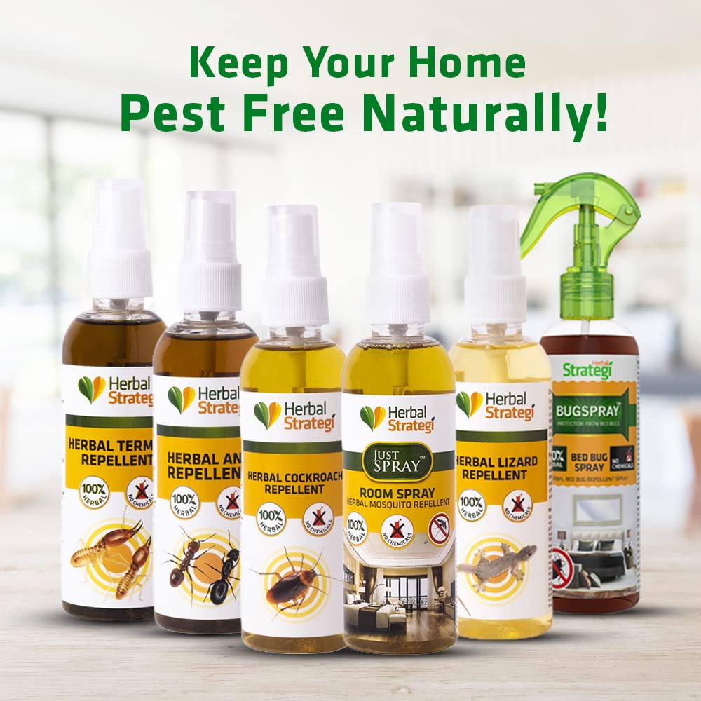 🤩HERBAL STRATEGI Ant Repellent Spray[Buy 1 Get 1 Free]🤩