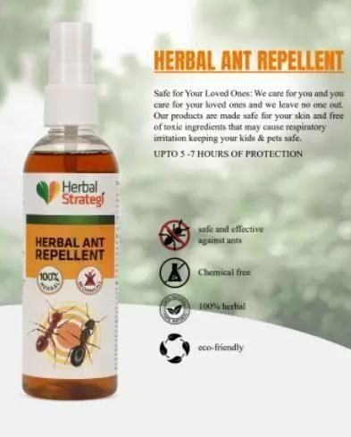 🤩HERBAL STRATEGI Ant Repellent Spray[Buy 1 Get 1 Free]🤩