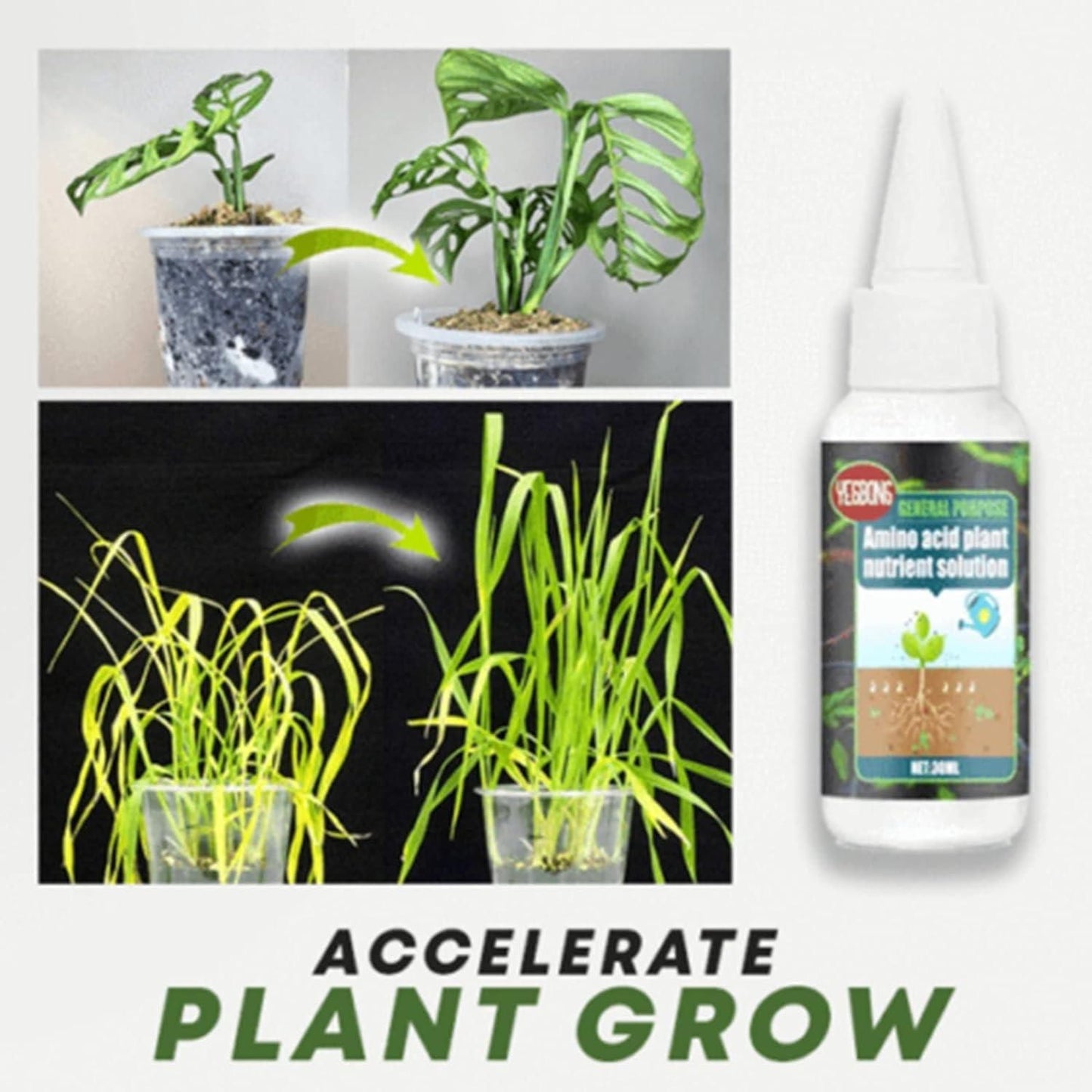 🤩Magic Plant Nutrient Solution, Hydroponic Liquid Plant Fertilizer for Seedling Recovery and Root Growth (30ml)🤩