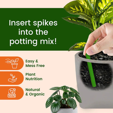 🤩GreenStix Plant Grow Fertilizer Sticks [Buy 1 Get 2 Free]🤩