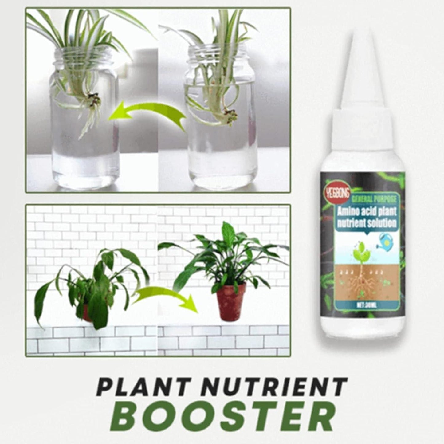 🤩Magic Plant Nutrient Solution, Hydroponic Liquid Plant Fertilizer for Seedling Recovery and Root Growth (30ml)🤩