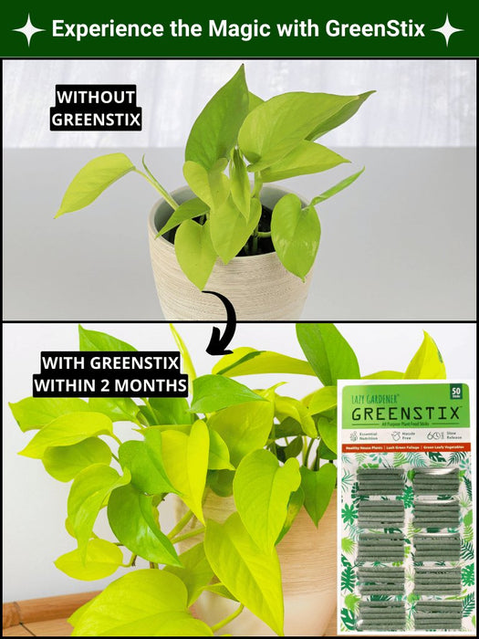 🤩GreenStix Plant Grow Fertilizer Sticks [Buy 1 Get 2 Free]🤩